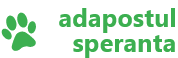 Leonard Roman, leonard, roman, full-stack developer, full-stack, website, custom website, developer portfolio Adapostul Speranta Logo